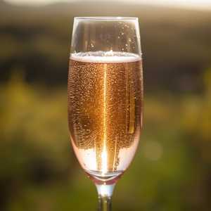 Gerard Bertrand Brut Rosé