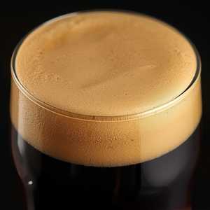 Seasonal Dark Beer