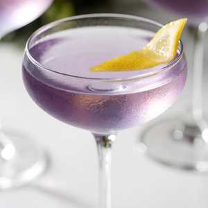 Plum Vesper