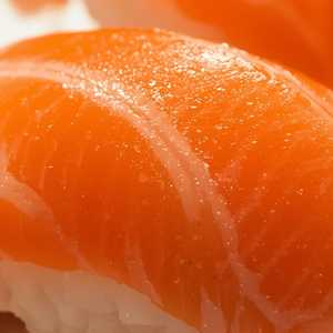 Salmon*