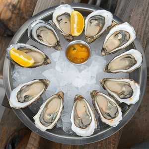 Fresh Oysters
