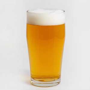 Fat Tire