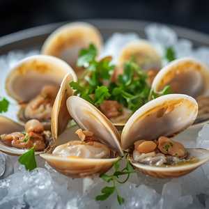 Razor Clams