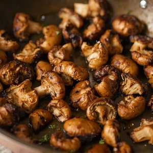 Maitake Mushroom