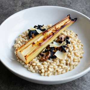 Roasted Celeriac & Maine Farro