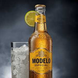 MODELO