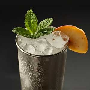 Georgian Julep