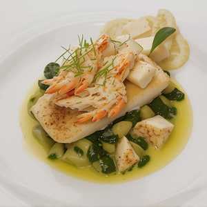 Halibut