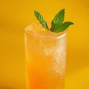 Cantaloupe Gin Fizz