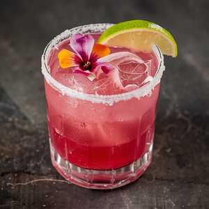 Hibiscus Margarita