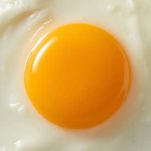 Egg