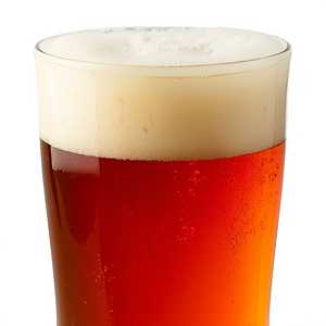 Dos Equis Ambar