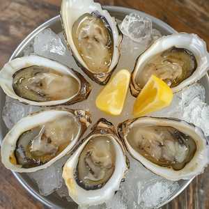 Local Oysters*