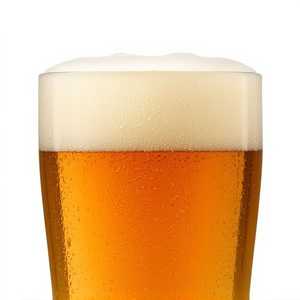 House IPA