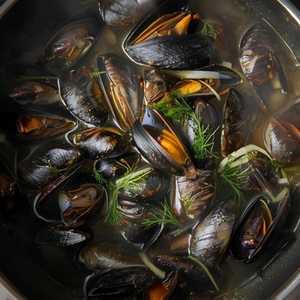 Mussels