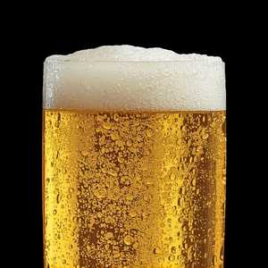 Sparkling Beer (Can)