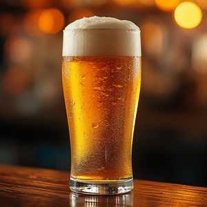 Draft Beer + Bottled Beers