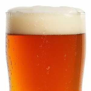 Port City Monumental IPA