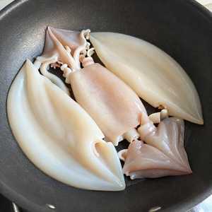 Squid