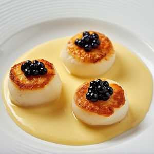Scallops Apps