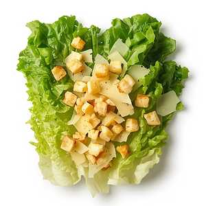 The Basic Caesar