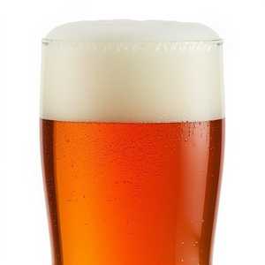 Lagunitas IPA