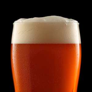 Fiddlehead "Second Fiddle" DIPA
