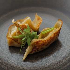 A5 Wagyu & Foie Gras Gyozas