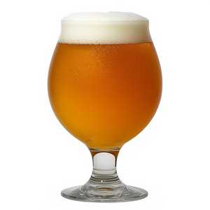Clown Shoes "Rainbows Are Real" Hazy IPA