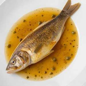 DOVER SOLE