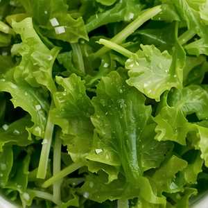 GREEN SALAD