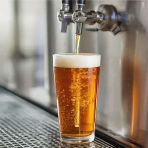Draft Kombucha