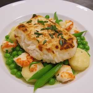 Atlantic Cod