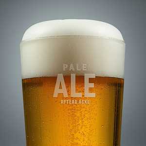 Pale Ale (Drake's 1500, San Leandro)