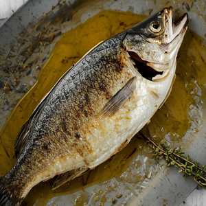 Branzino