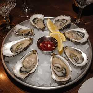 Oysters of the Day