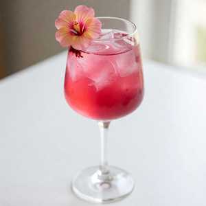 Desert Rose