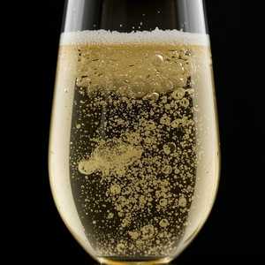 Sparkling (Chevalier, Blanc de Blancs)