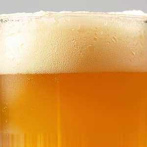 Lamplighter Birds of a Feather