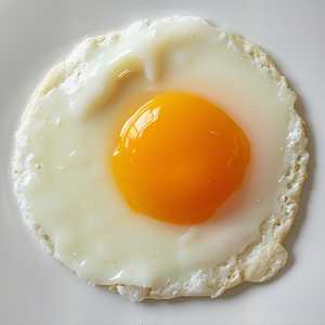 One Egg