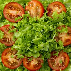 Lettuce & Tomato