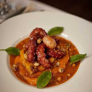Grilled Spanish Octopus