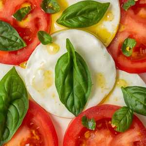 Mozzarella and Tomato Salad