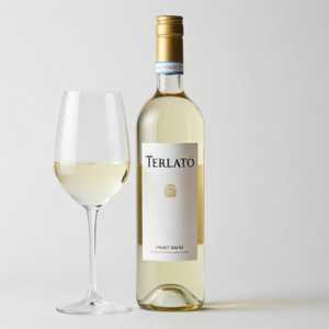 PINOT GRIGIO terlato, italy