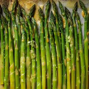 Jumbo Asparagus