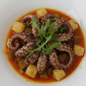 Octopus