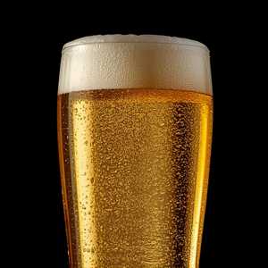 Modelo Especial
