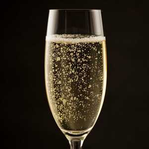 Sparkling Sauvignon Blanc