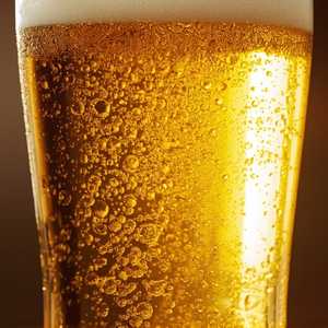 North Coast Scrimshaw Pilsner