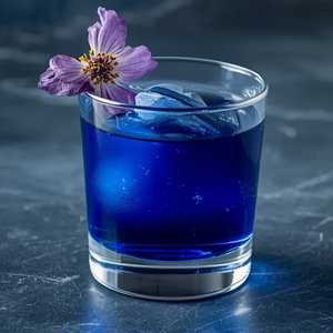 Midnight Bloom